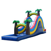 amusement park inflatable water slide palm tree jungle